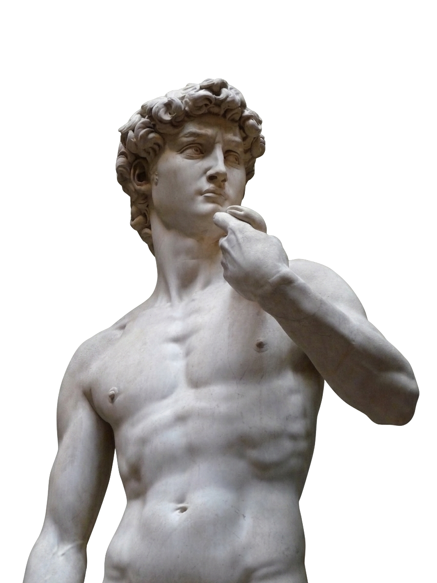 Michelangelo's David, marble torso